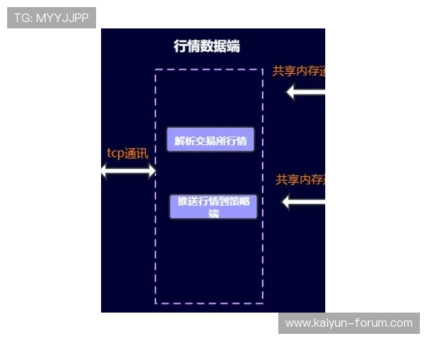 开云波胆玩法入口避坑指南数字高频玩法防骗